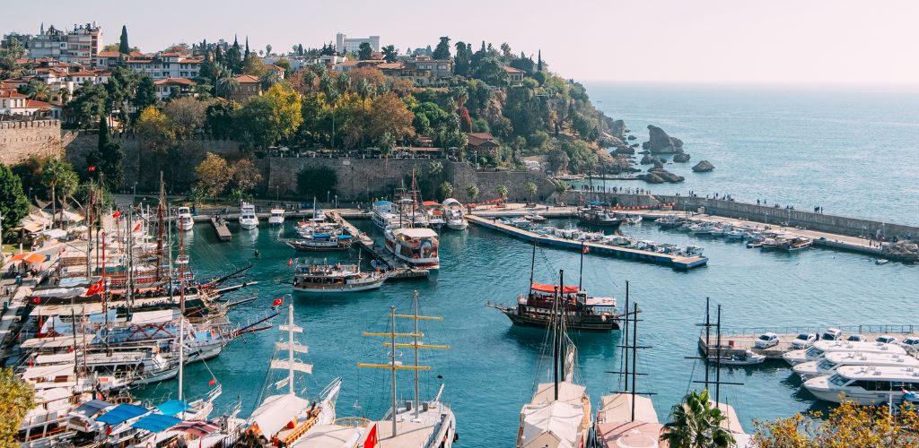 A pier with a bunch of parked boats. An historic city with green trees on the side.