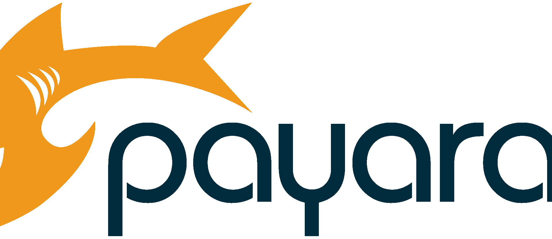 Payara Services: Product Manager