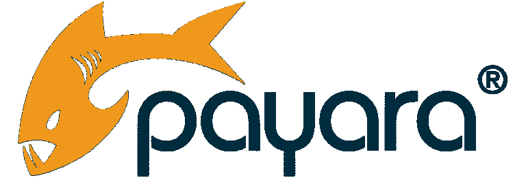 Payara Services: Product Manager
