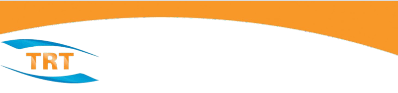 TRT Solutions Limited: Global Support Services Engineer