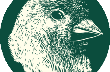 Finch LLC: Digital Marketing Account Manager (German, English)