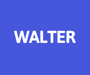 Walter: DevOps Engineer (GCP Focused)