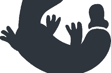 ZSA: C and Rust dev with a love of keyboards, quality, and small teams