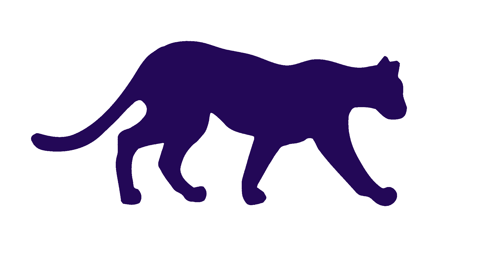 Leopard.FYI: Senior Account Manager (Technical Recruiting Marketplace & Community)