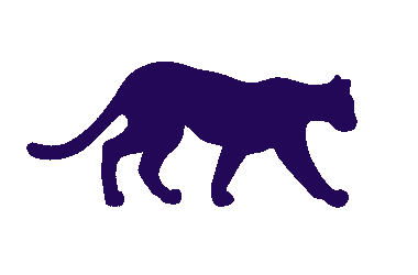 Leopard.FYI: Senior Account Manager (Technical Recruiting Marketplace & Community)