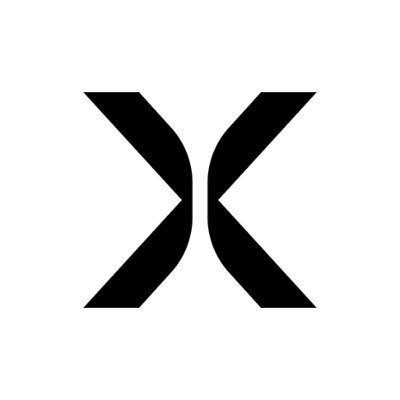 NewtonX: Strategic IT Advisor